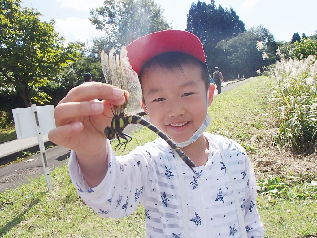 おやこトンボとり大作戦を開催しました 新潟県立こども自然王国